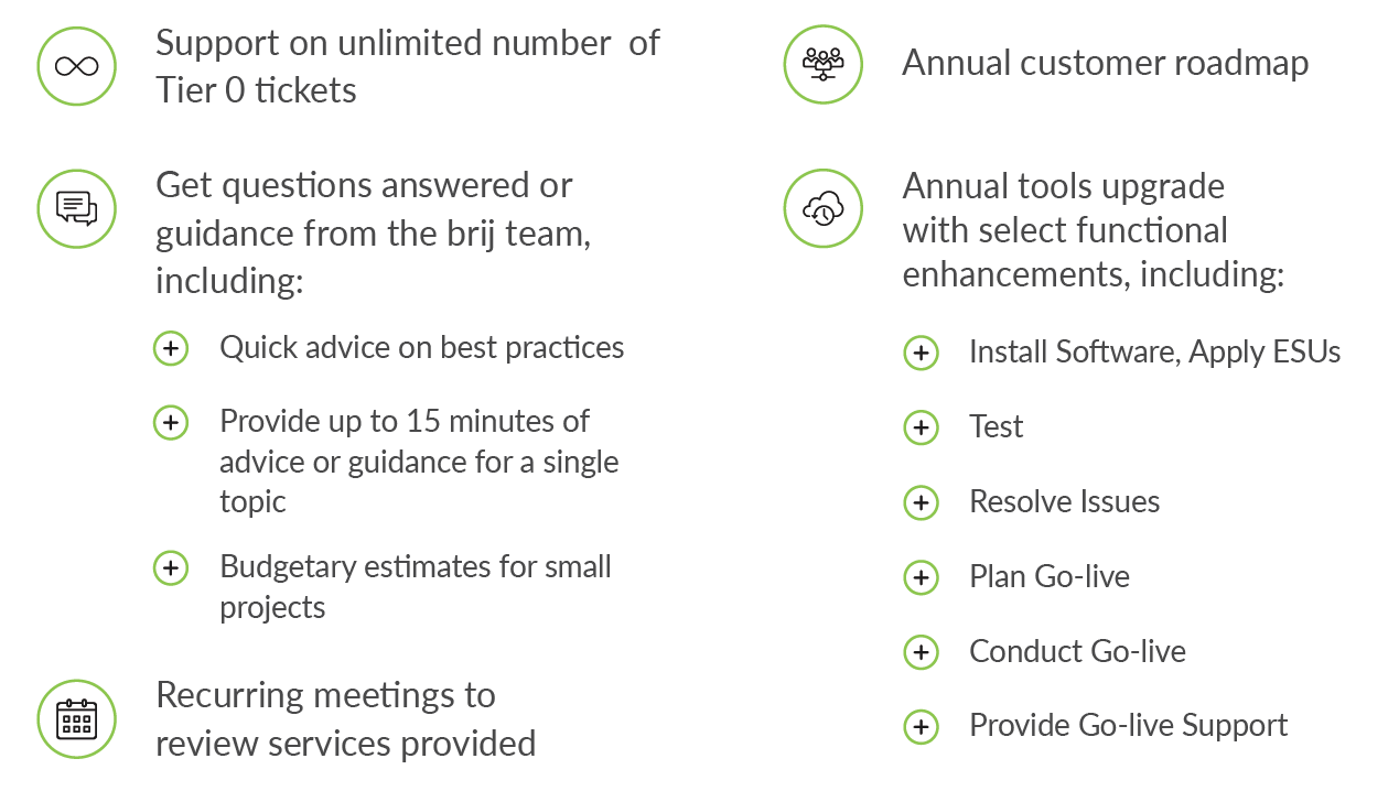Types of brij Flex Support Services Offerings